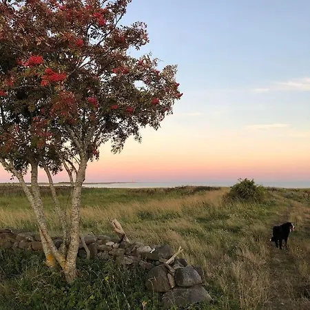 Forest House, Tiidu 別荘 *