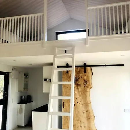 Forest House, Tiidu بيت للعطل