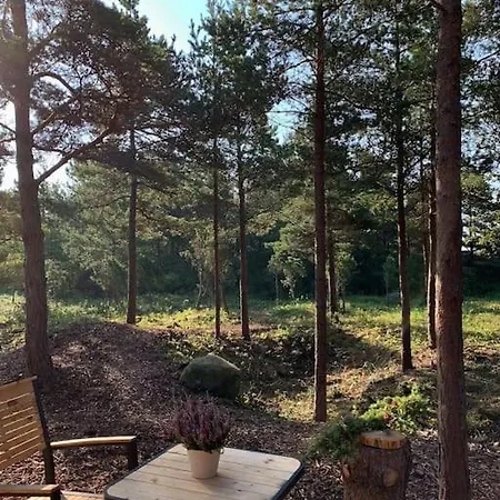 Forest House, Tiidu بيت للعطل *