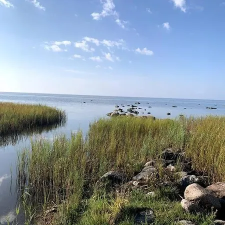 Forest House, Tiidu * Nässuma