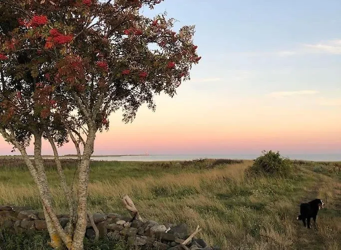 Forest House, Tiidu Holiday home *