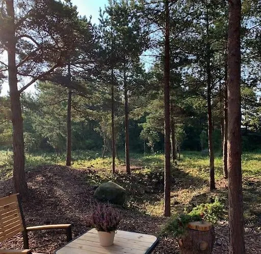 Forest House, Tiidu Holiday home *