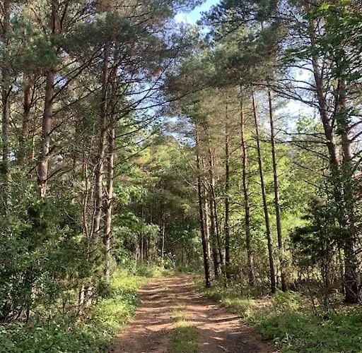 Forest House, Tiidu Nässuma