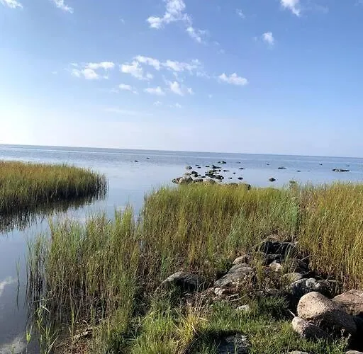 Forest House, Tiidu * Nässuma